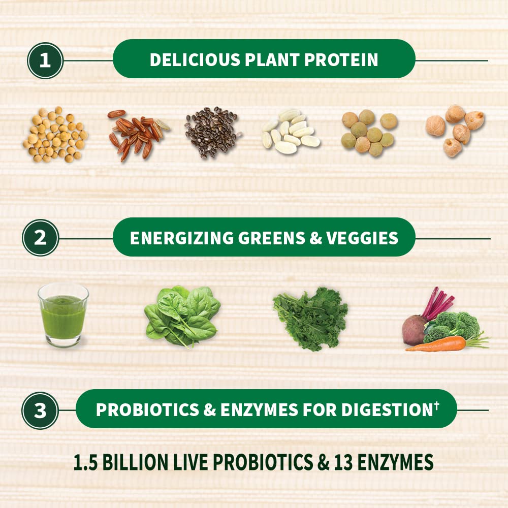 Organic Vegan Protein Powder D442