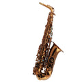 Champagne Golden Alto Saxophone Set P455