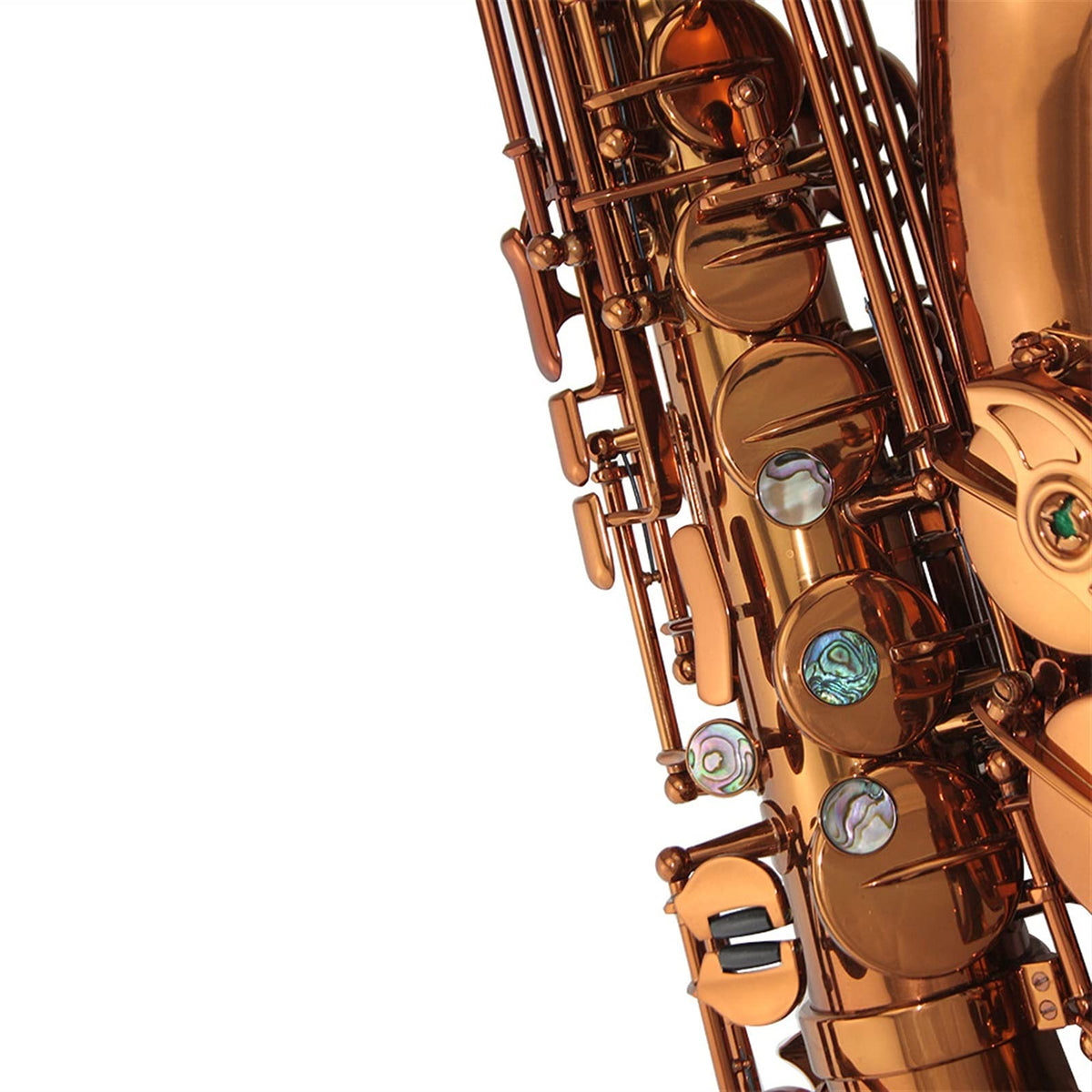 Champagne Golden Alto Saxophone Set P455