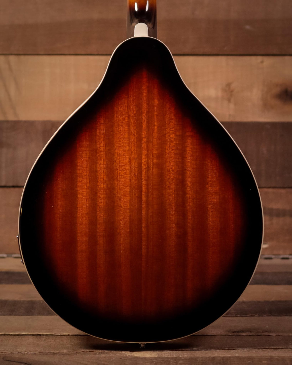 Brown Sunburst Acoustic-Electric Mandolin W4685