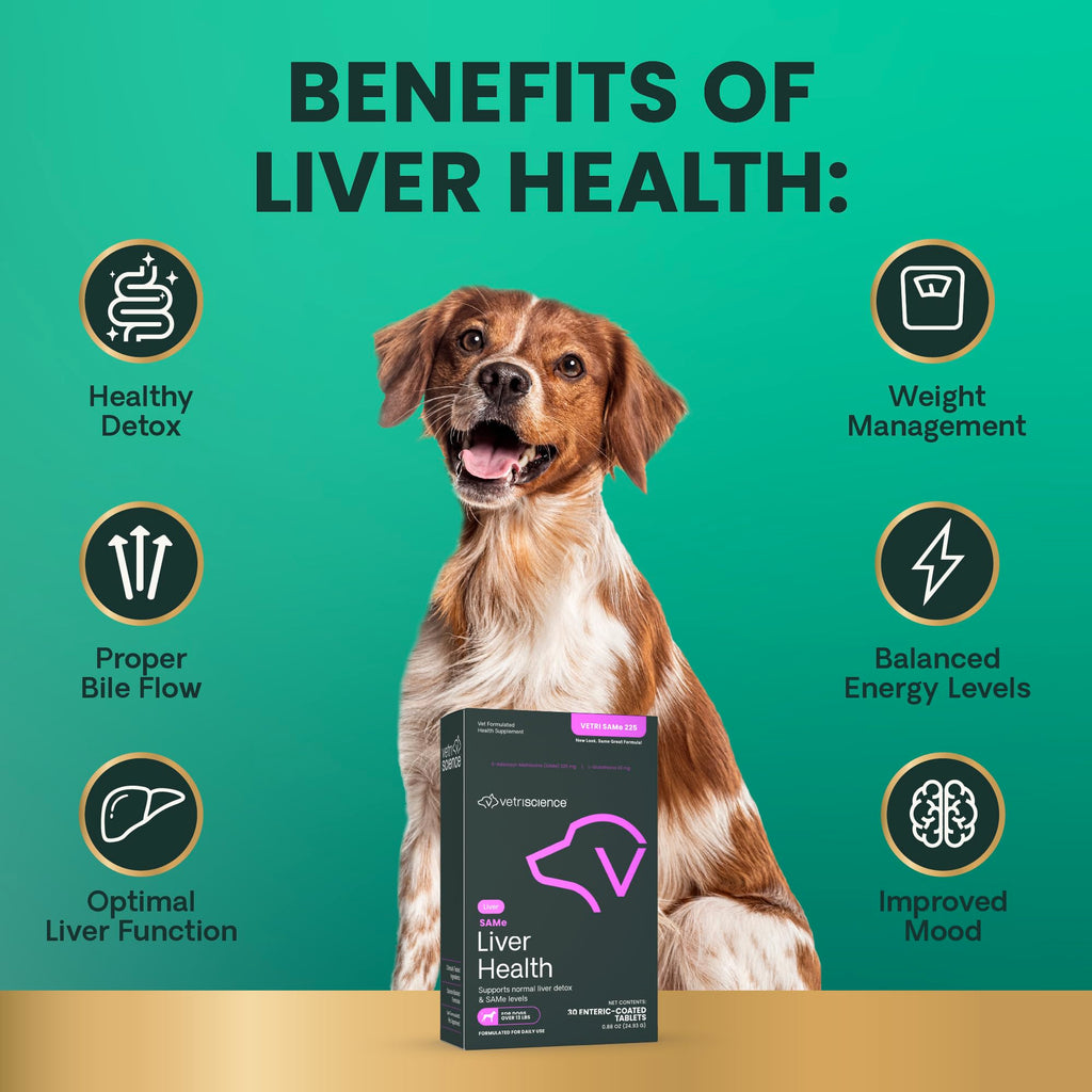 Liver Health Tablets for Dogs 30 Count D41812