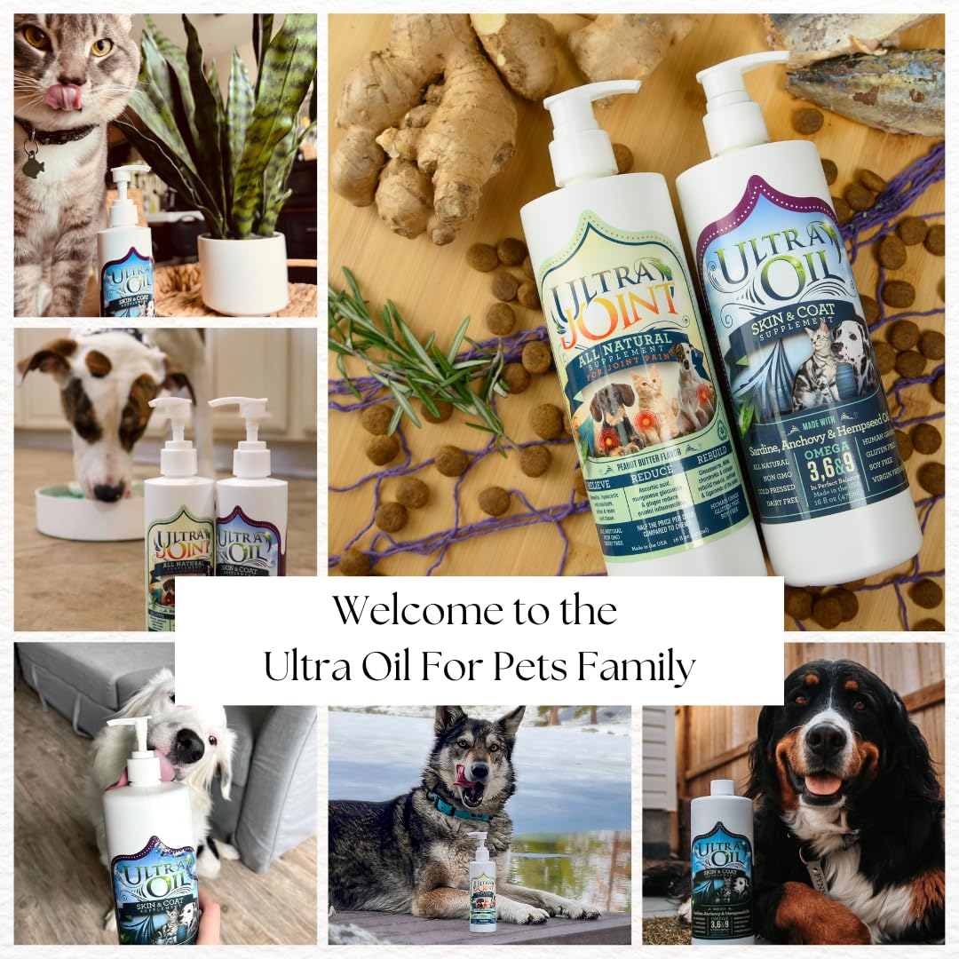 Liquid Joint Support Supplement for Dogs 32 oz F1742