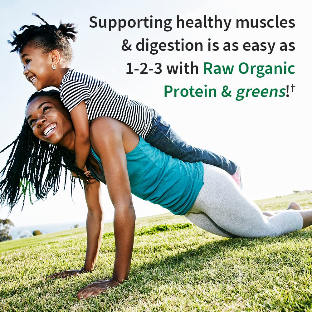 Organic Vegan Protein Powder D442