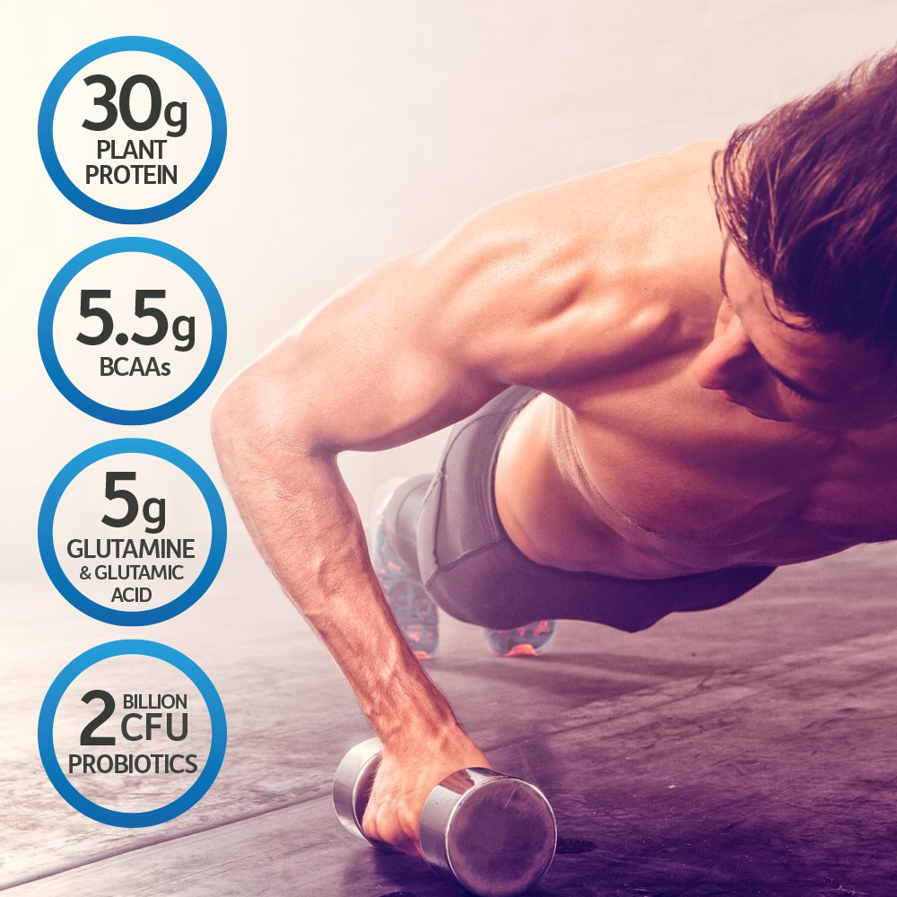 Organic Vegan Protein Powder D442