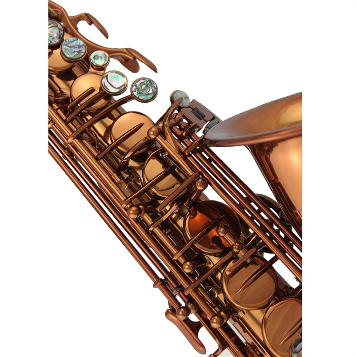 Champagne Golden Alto Saxophone Set P455