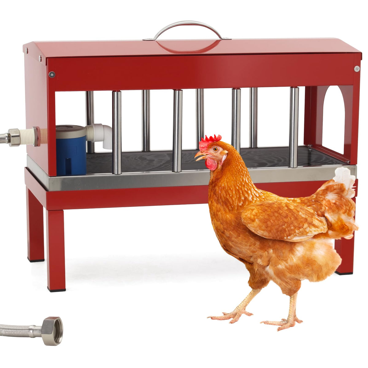 Stainless Steel Automatic Chicken Waterer M3523