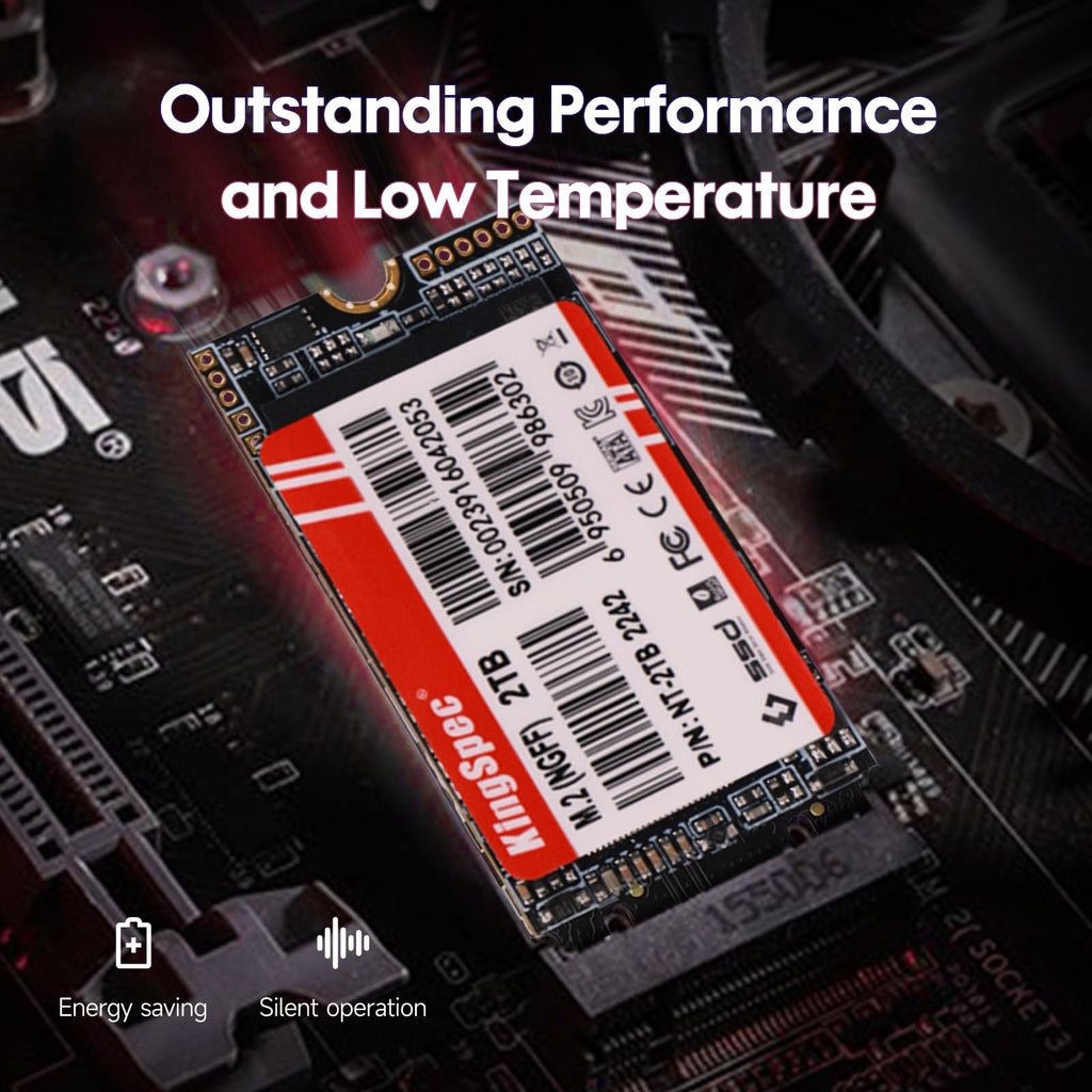 512GB M.2 2242 SATA III SSD H829