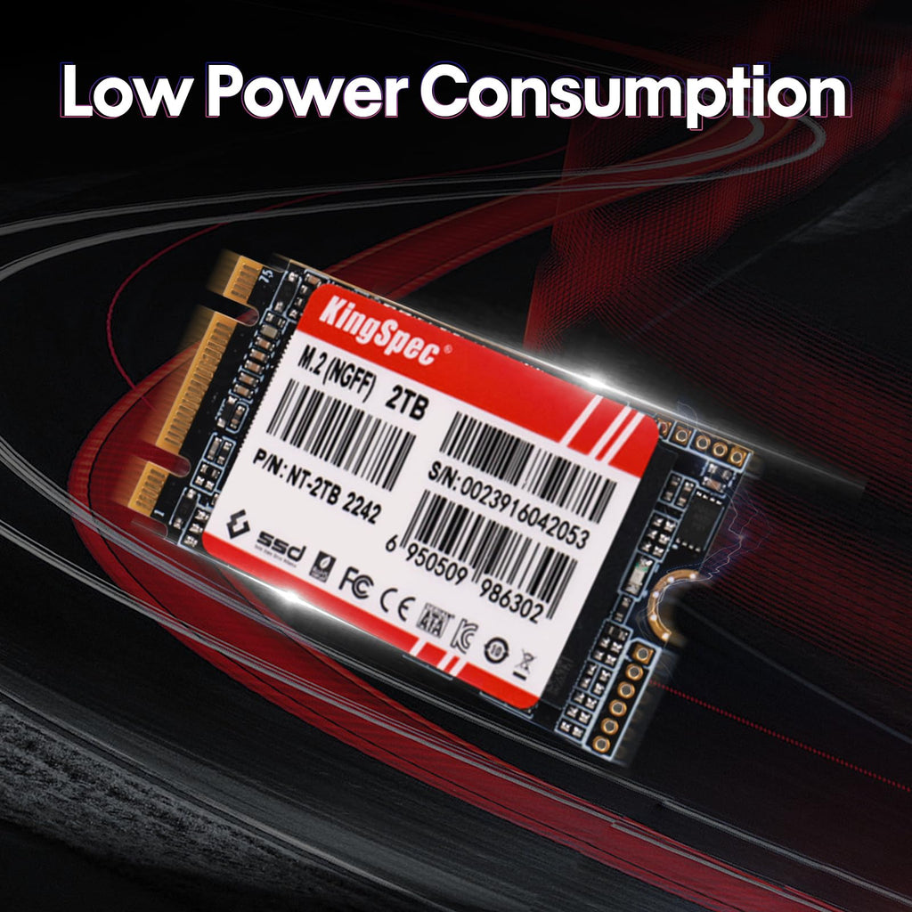 512GB M.2 2242 SATA III SSD H829