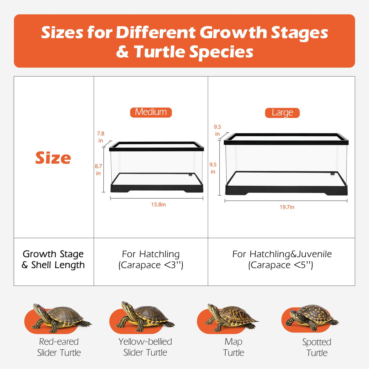 4.6 Gal Baby Turtle Tank Starter Kit R53845