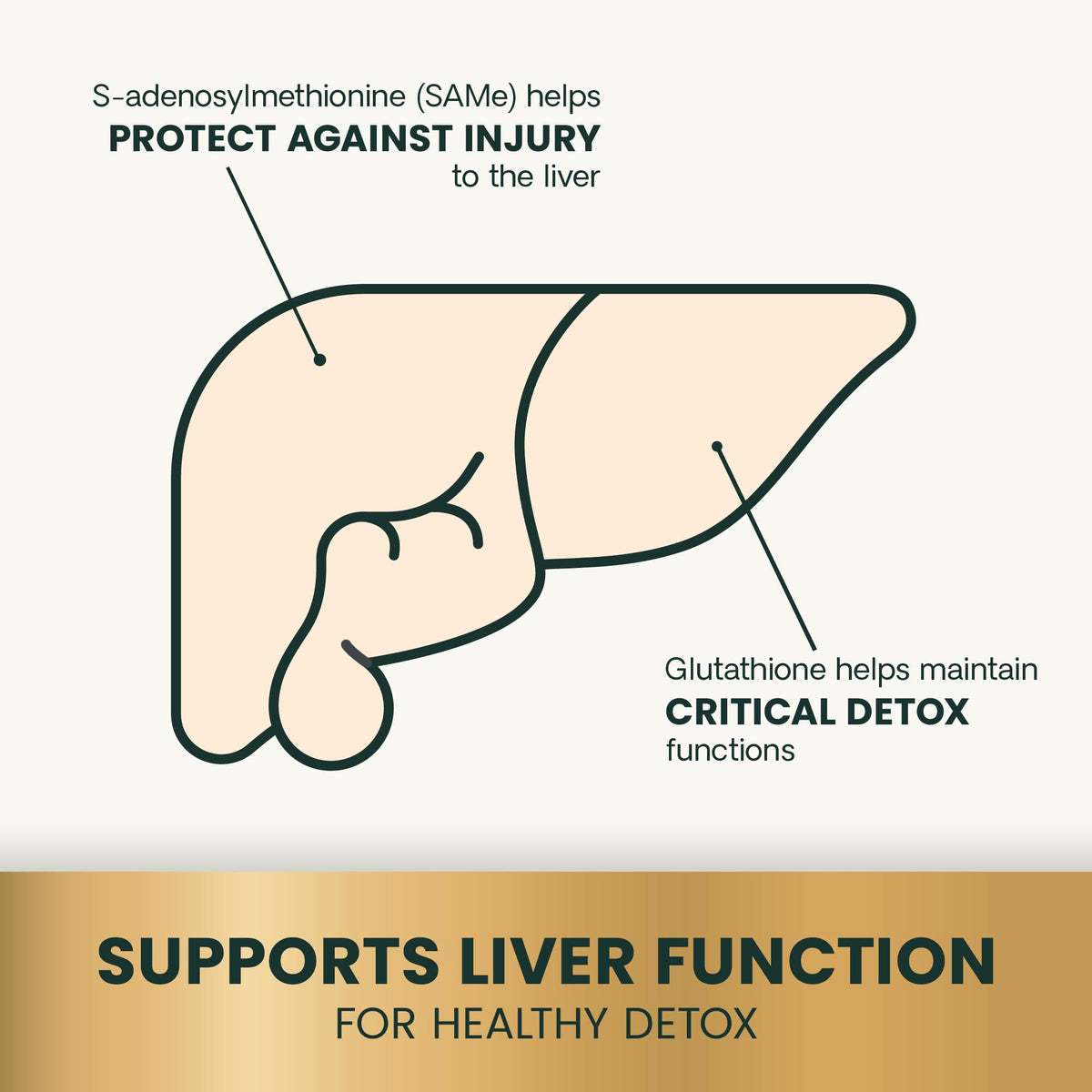 Liver Health Tablets for Dogs 30 Count D41812