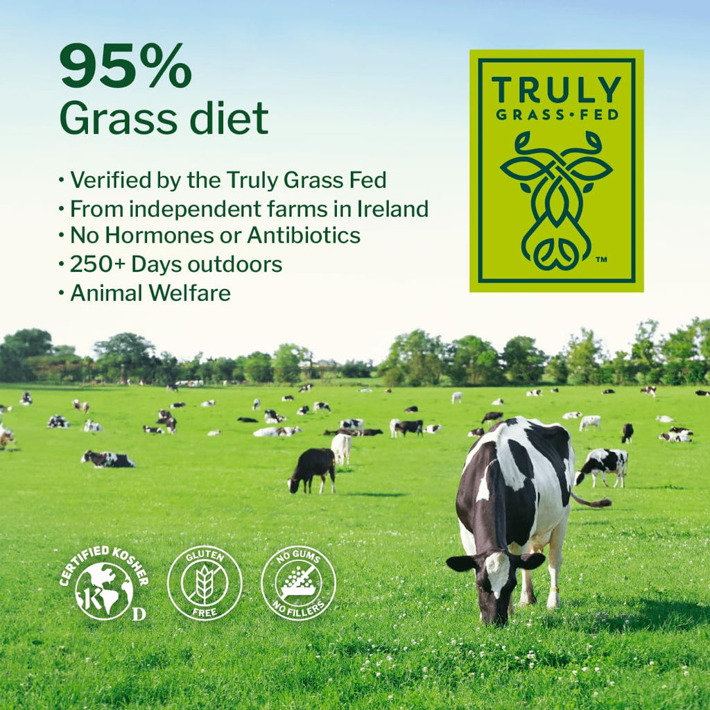 Chocolate Grass Fed Whey Protein Isolate Powder, 5 lb M413868