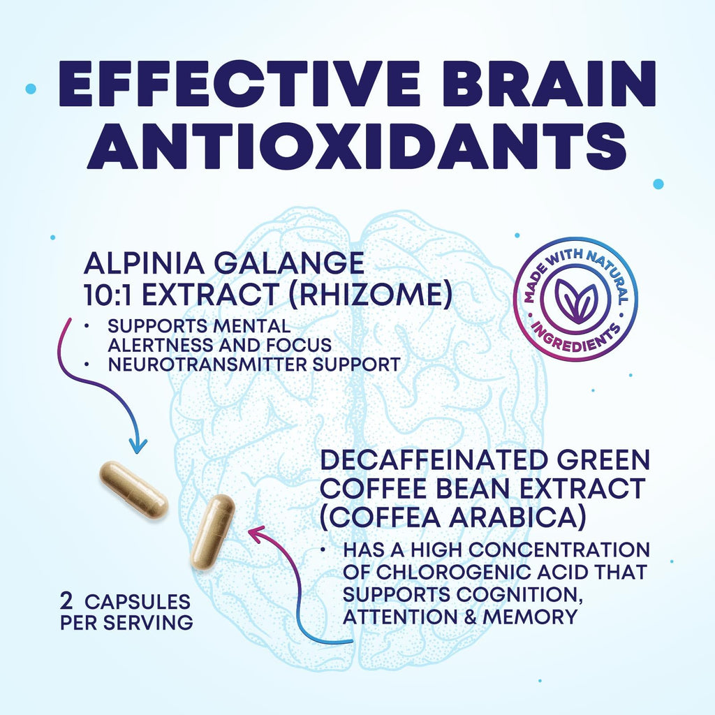 Brain Memory Supplement Pills 240 Capsules B81314