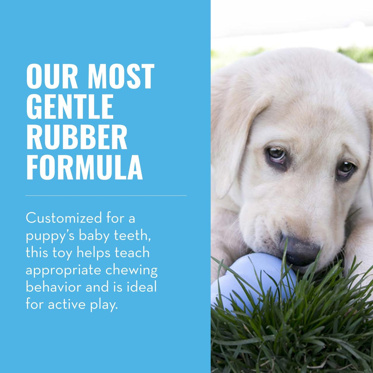 Natural Rubber Teething Chew Toy T99528