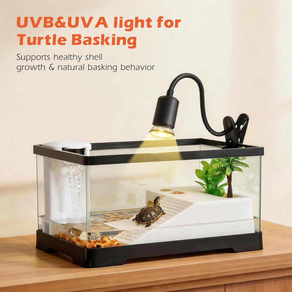 4.6 Gal Baby Turtle Tank Starter Kit R53845