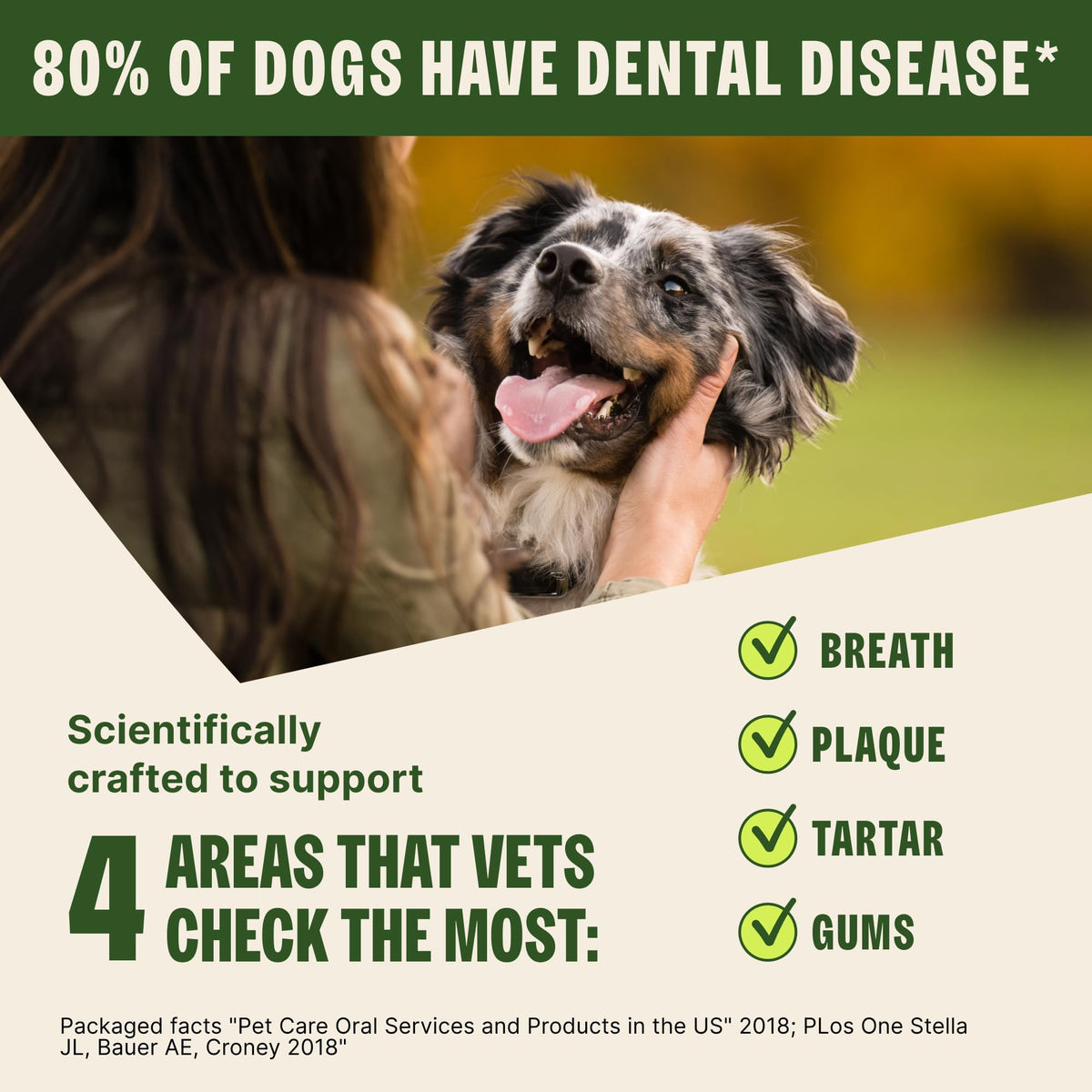 Natural Dog Dental Treat 12.7 oz 48 Count M8750