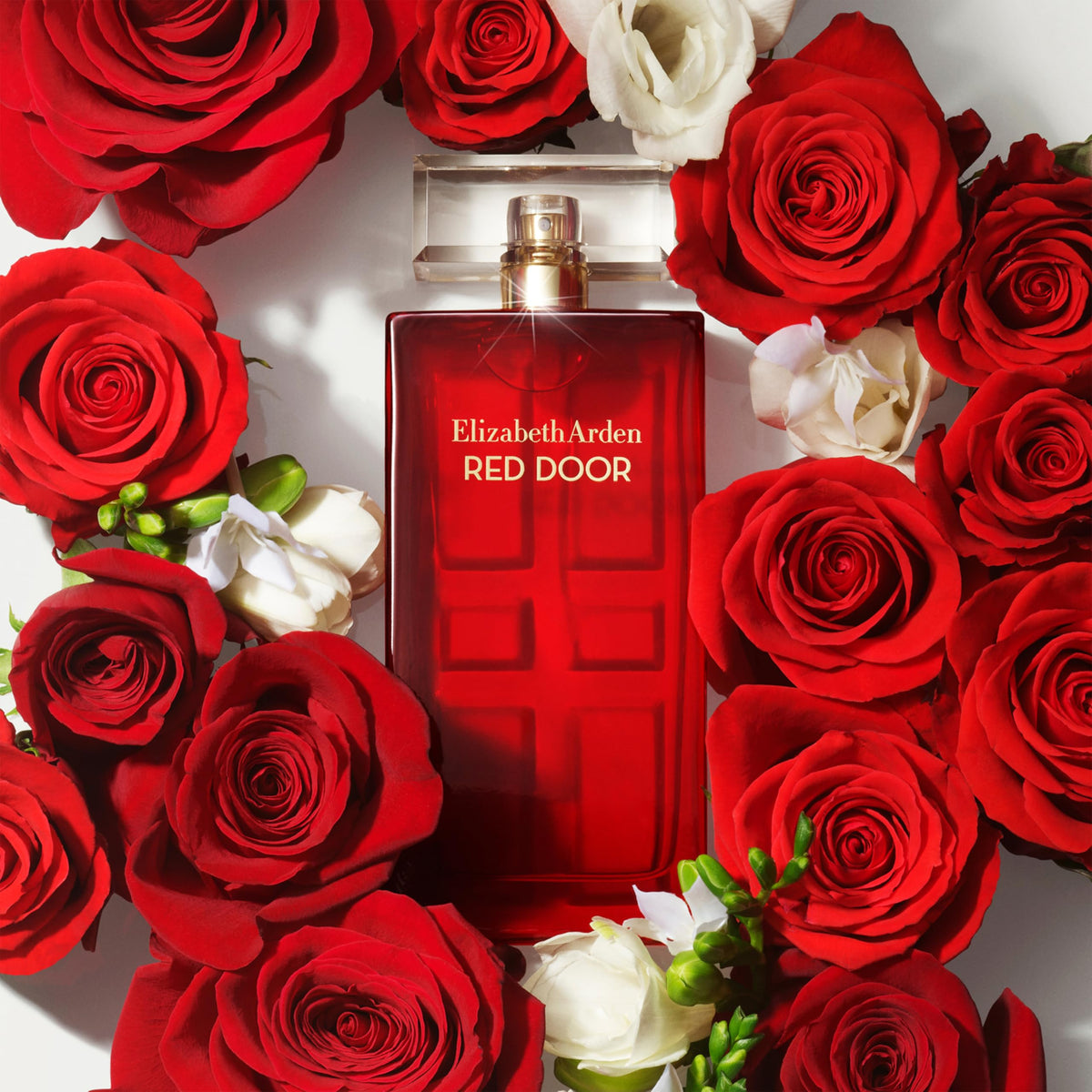 Red Door Eau de Toilette 3.3 fl oz O3619
