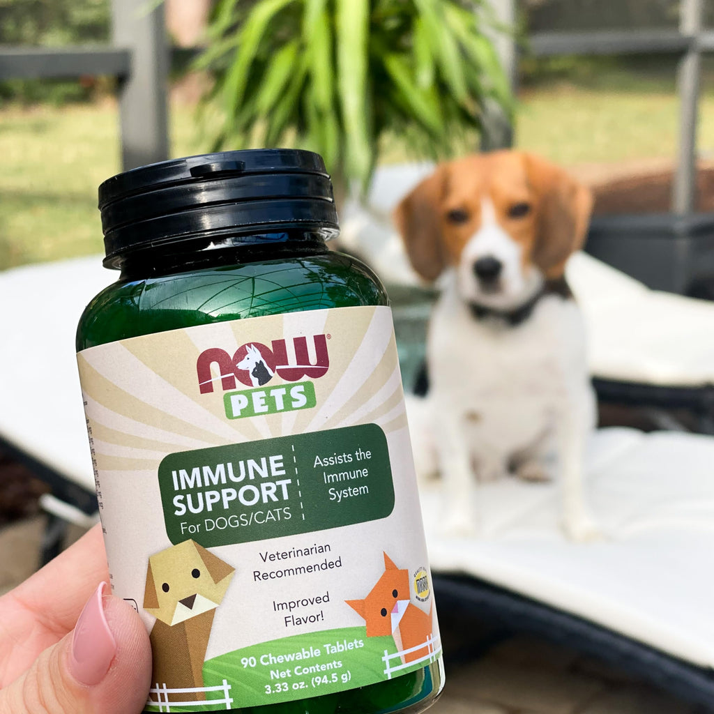 Immune Support Supplement for Cats & Dogs 90 Chewable Tablets Y148234