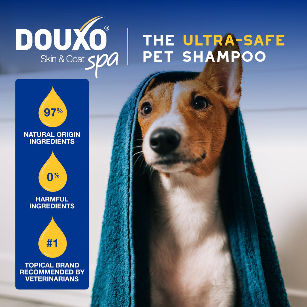 Oatmeal Shampoo and Conditioner Set 16 fl oz P312