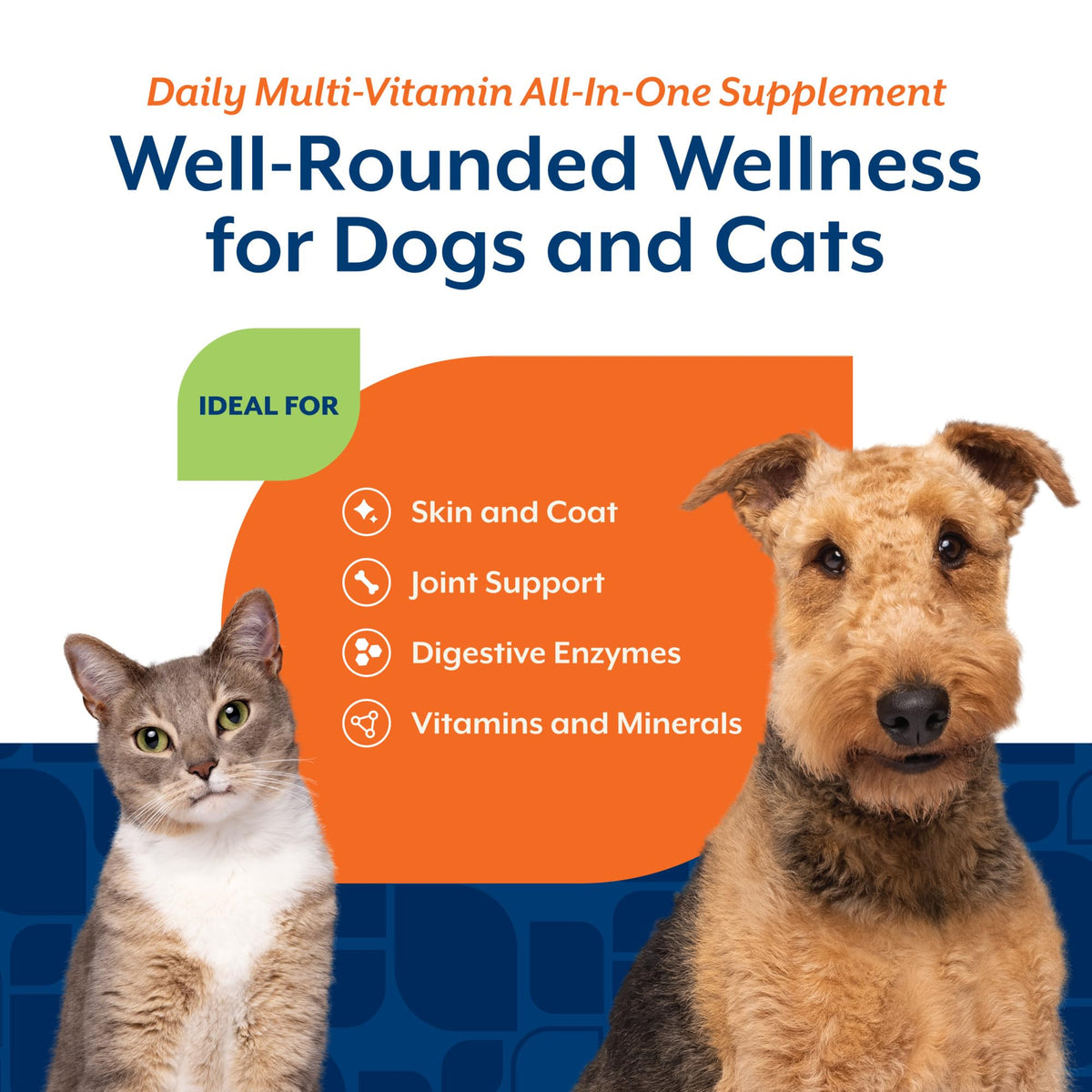 Cat & Dog Daily Multivitamin 13 Oz Powder O6526