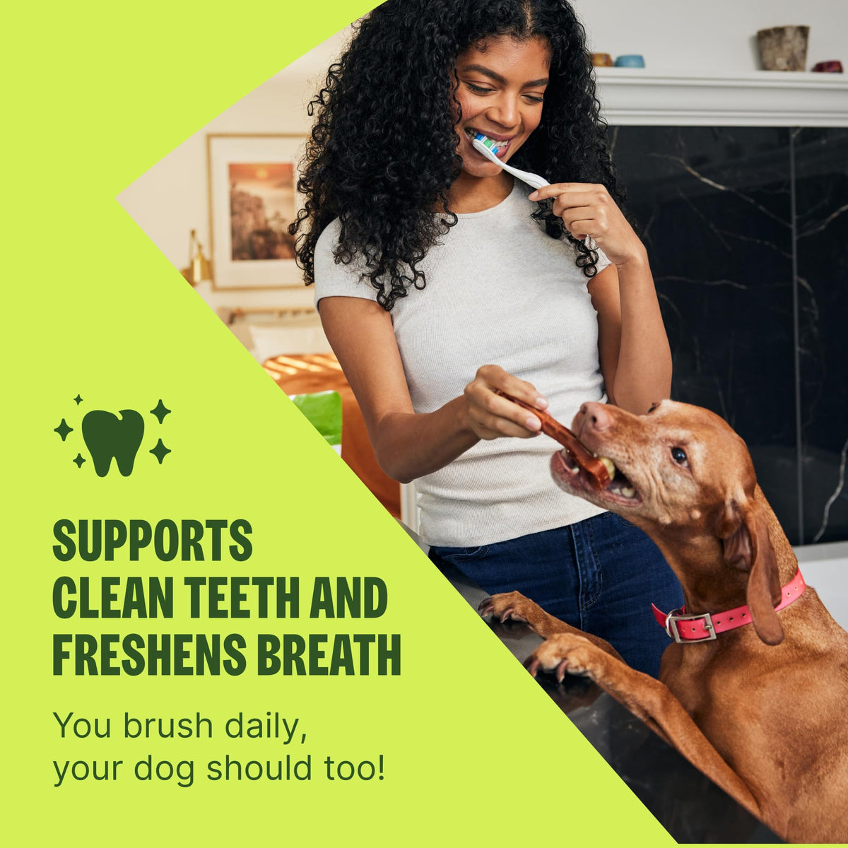 Natural Dog Dental Treat 12.7 oz 48 Count M8750