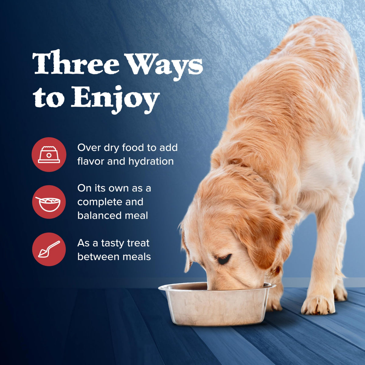 Wet Dog Food, Grain-Free Beef in Gravy, 12.5 oz Cans, Pack of 24 M82138