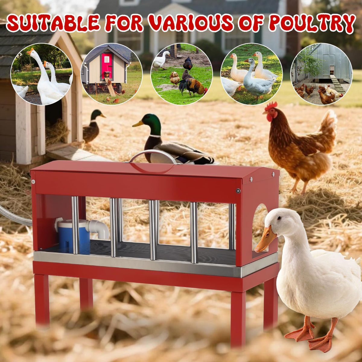 Stainless Steel Automatic Chicken Waterer M3523