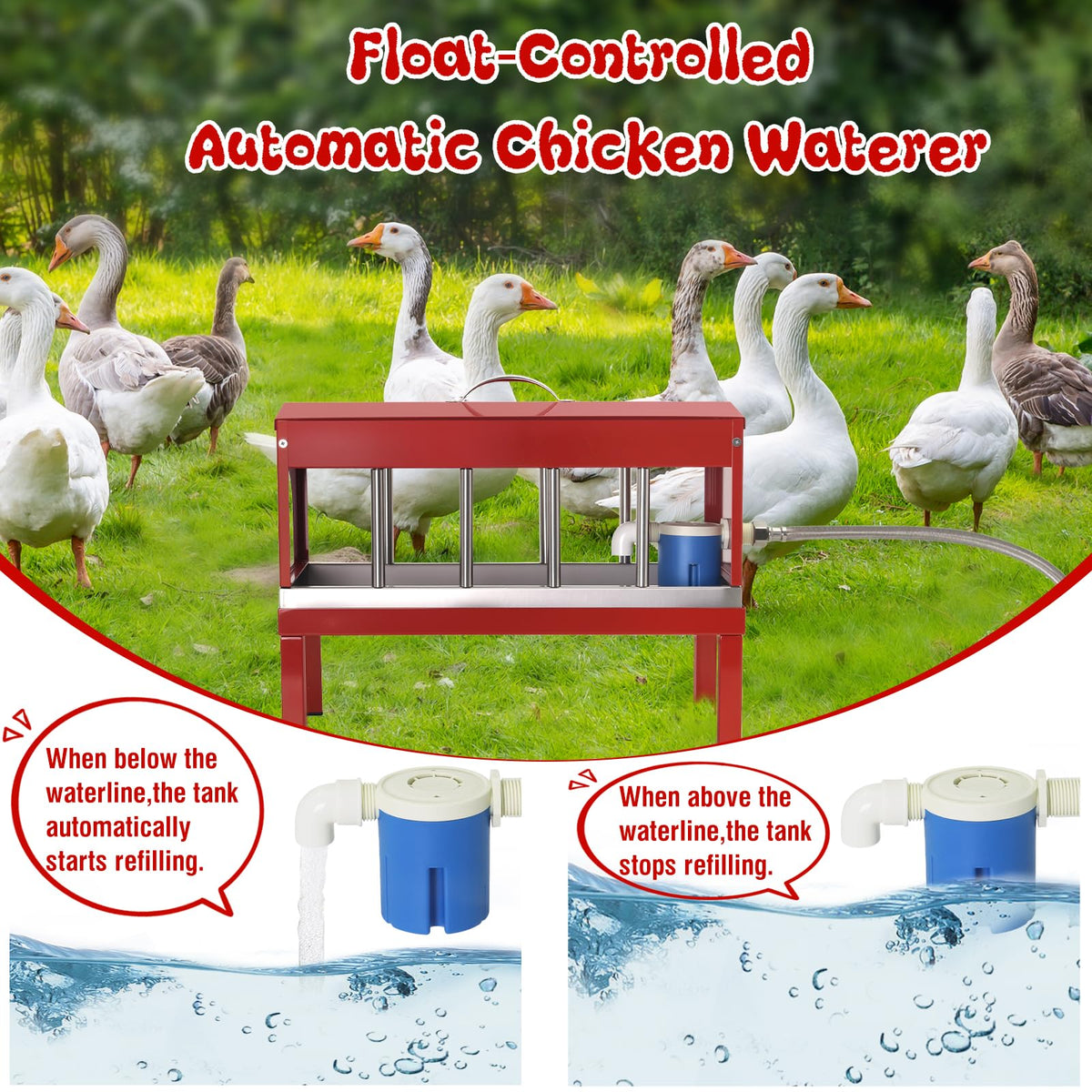 Stainless Steel Automatic Chicken Waterer M3523
