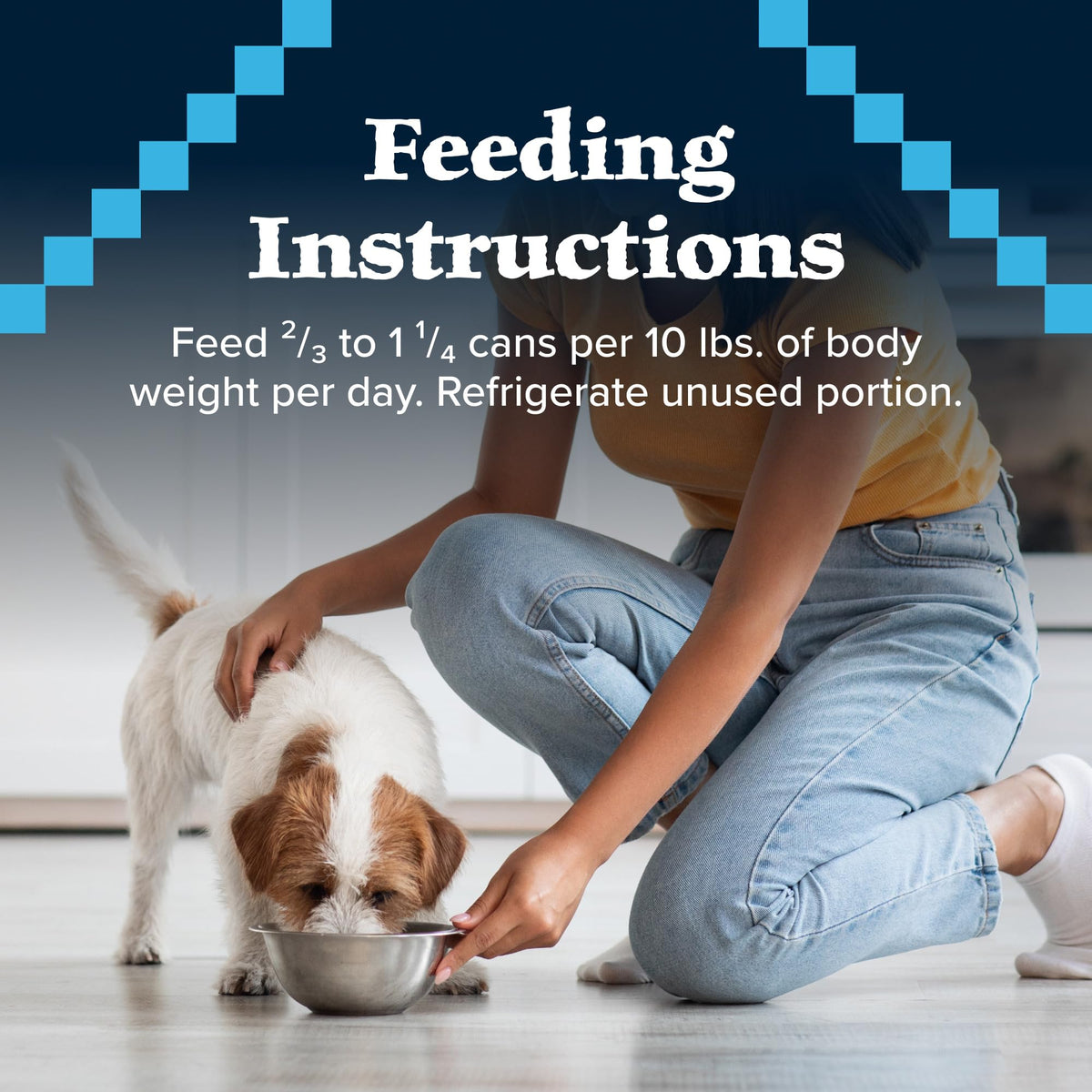 Wet Dog Food, Grain-Free Beef in Gravy, 12.5 oz Cans, Pack of 24 M82138
