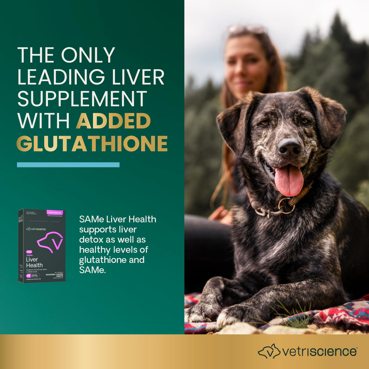 Liver Health Tablets for Dogs 30 Count D41812
