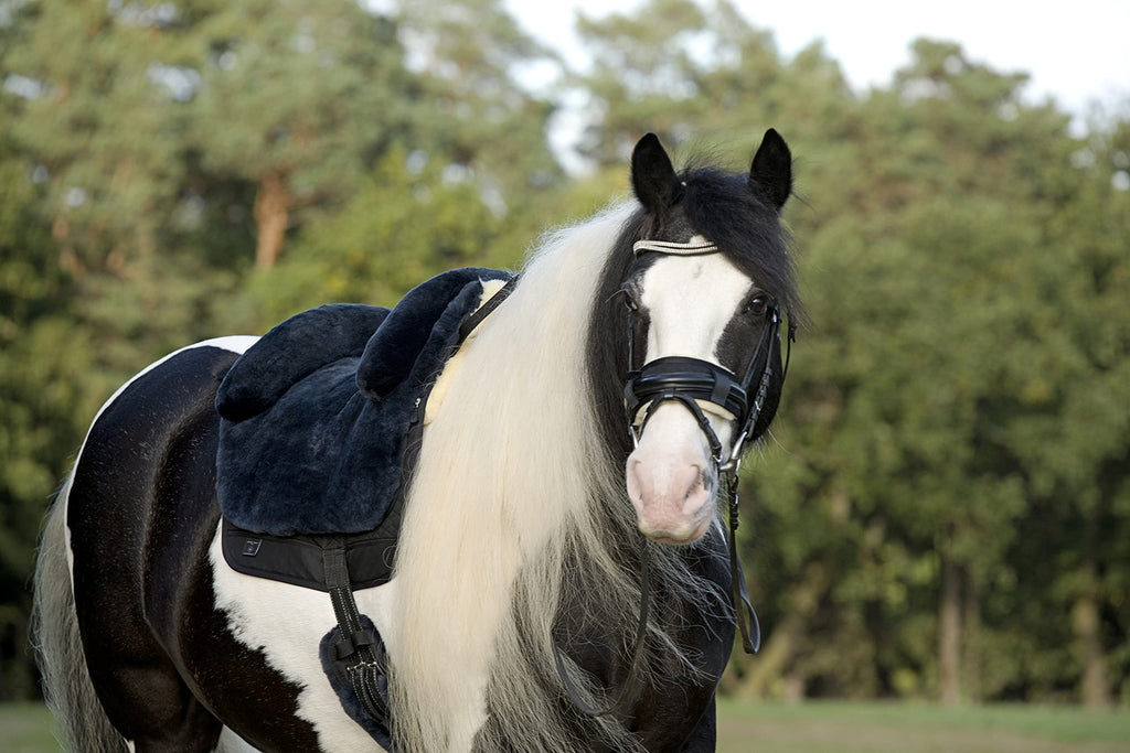 Horse Bareback Pad Treeless Saddle Real Sheepskin Q716