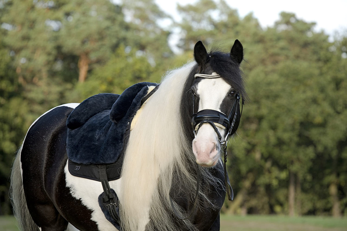 Horse Bareback Pad Treeless Saddle Real Sheepskin Q716
