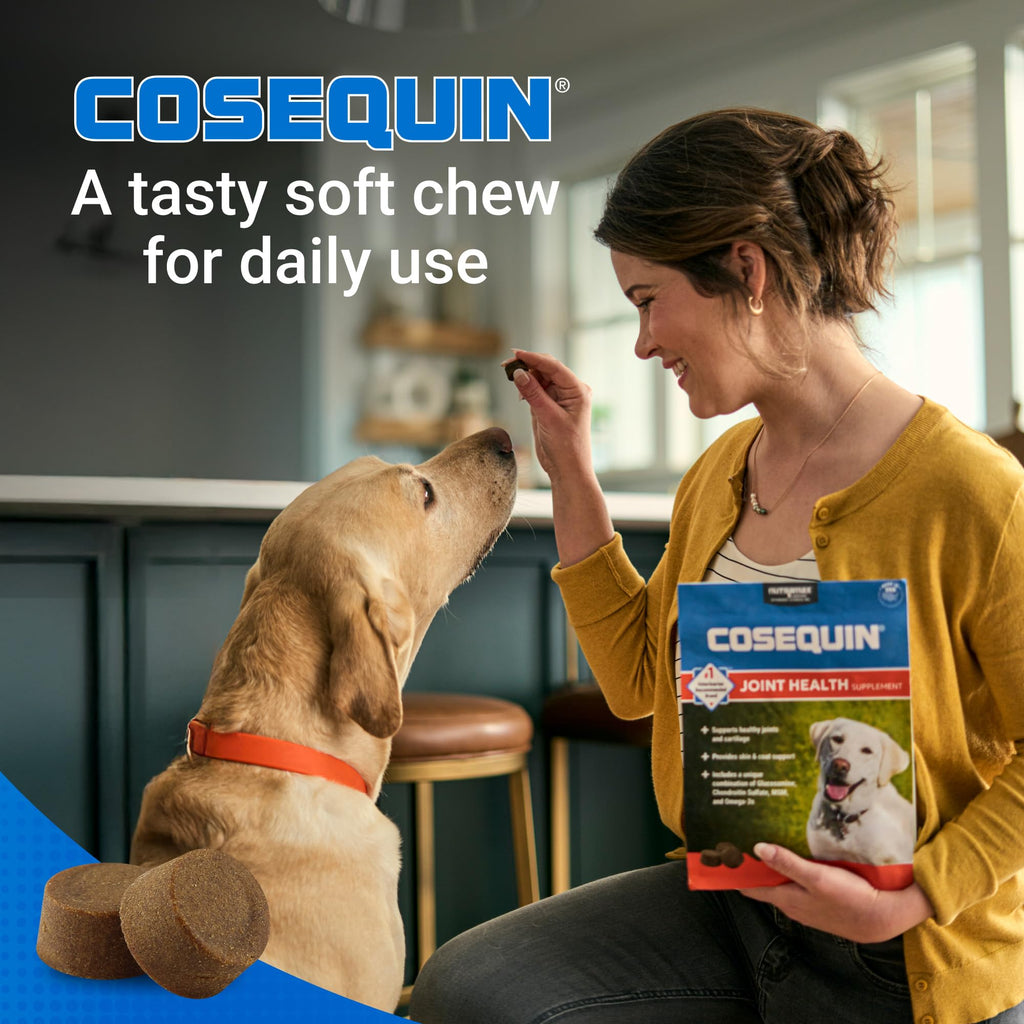 Dog Joint Supplement Soft Chews 60ct L2602