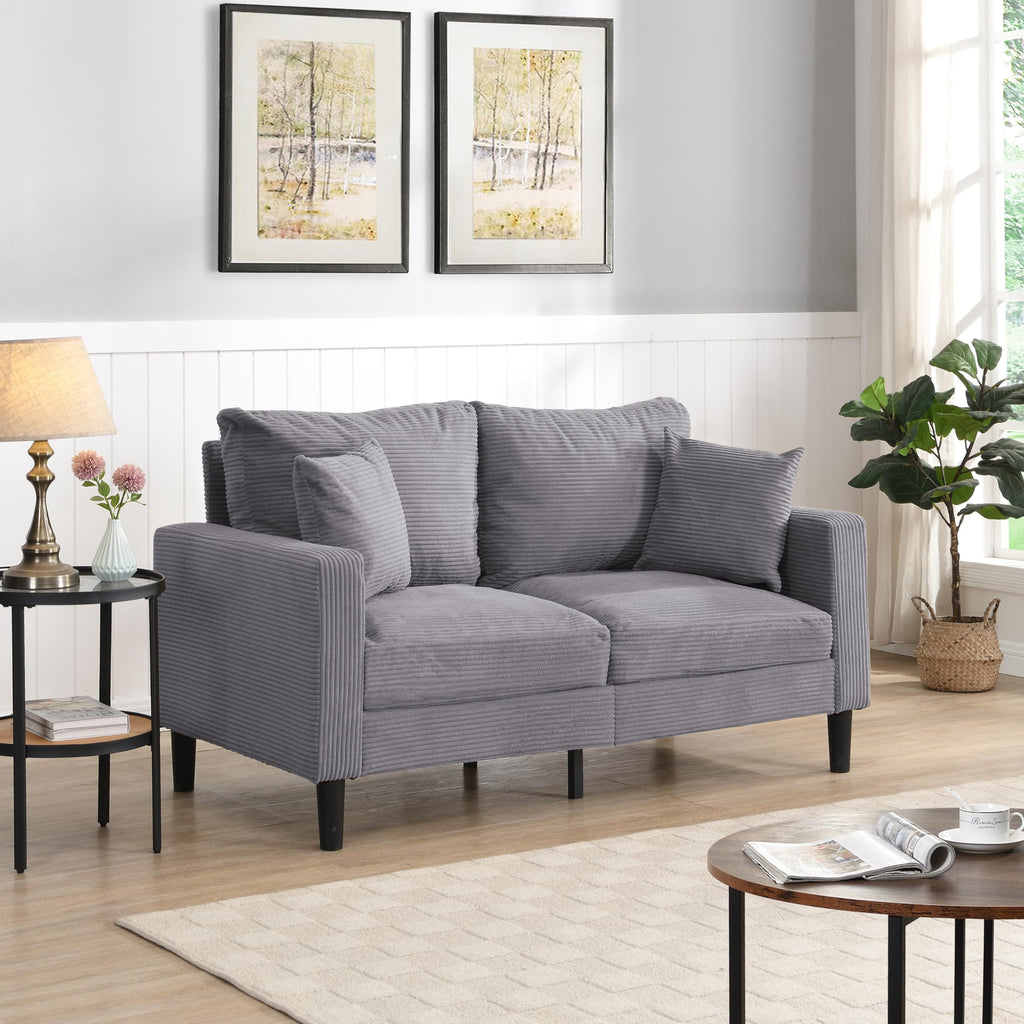 Small Space Saving Light Gray 2-Seat Upholstered Sofa C6716